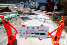 김포 산란계 농장 고병원성 AI 양성 계란판매 중지