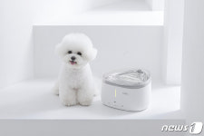 쿠쿠전자 펫 드라이룸 판매량 전월非 20%↑…펫 가전 상승세