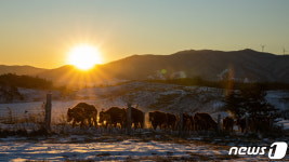 2021년 신축년, 반갑소