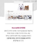 [펫카드] 보고만 있어도 행복 유튜브 스타 멍냥이들 만나볼까