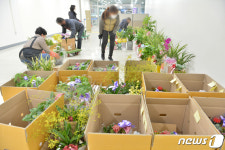 모처럼 웃는 꽃가게 주인들