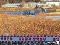 천안 산란계 농장서 AI 항원 검출…고병원성 여부 조사 중