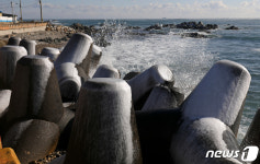 테트라포드도 꽁꽁