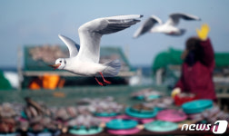 [오늘의 날씨] 울산(9일, 토)…최저 영하 10도 강추위 지속