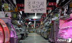 가락몰 출입금지 방역 때문에