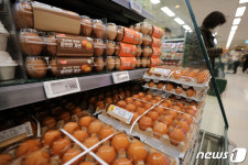 고병원성 AI 확산 크게 오른 계란 가격