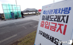 제주 성산 오조리 철새도래지서 야생조류 고병원성 AI 감염 확인