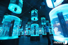 개장 앞둔 아쿠아플라넷 광교