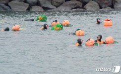 제주시 해녀 절반은 70세 이상…최고령 91세