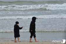 개구쟁이들의 시원한 오후