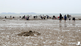 태안군, 몽산포 해변 ‘불법도구 사용 해루질’ 강력 단속