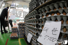 귀해진 계란, 농장직송 판매점도 물량 부족