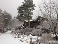 눈으로 힐링…전 세계 겨울 낭만 풍기는 숙소 8선