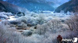 그림같은 인제 비밀의정원