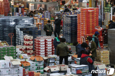 설 대목 앞두고 과일 구입