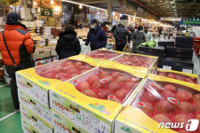 설 앞두고 몸값 귀한 과일