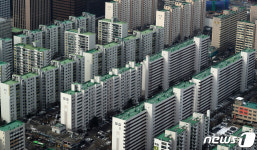 목화 사진 1