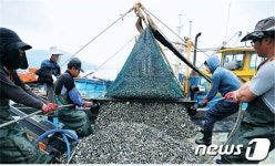 바다의 비타민 '꼬막'…590년 전 조선 초기부터 양식 시작했다