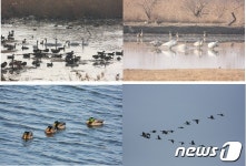 부산 낙동강 생태공원, 조류 146종 2만7000여 개체 서식 확인