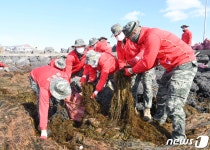 중국발 괭생이모자반 수거 해병대도 팔 걷어붙였다