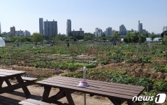 송파구, 주말농장 솔이텃밭 19일까지 경작자 모집