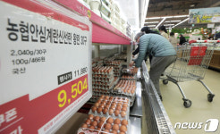 계란 한판에 9500원... 에그머니
