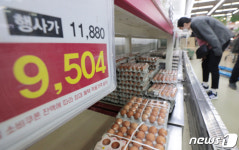 금값된 계란... 에그머니나