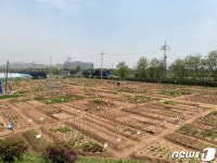 강서구 오곡텃밭농장 550구획 분양…내달 2~7일 접수