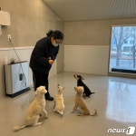 서울시, 반려동물 돌봄 경험 있는 중장년 세대 펫시터 모집