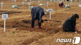 전남농업박물관, 주말농장 확대 운영…110개에서 150개로