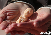 12주 태아의 모습을 그대로 표현한 심콩이