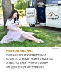 [펫카드] 보험·택시·호텔·장례까지…반려동물에게 필요한 것들
