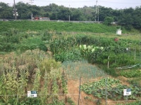 구로구, 도심 속 휴식처 주말 농장 750구획 분양