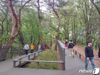 휠체어·유모차도 정상까지…노원구 영축산 순환산책로 개통