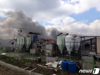 전남 나주 한 돼지농장에서 화재…돼지 1500여마리 불타
