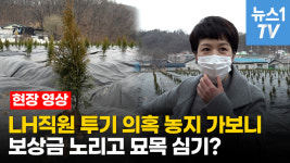 [영상] LH 직원 ‘땅투기 의혹’ 현장 가보니…보상 노리고 묘목심기?