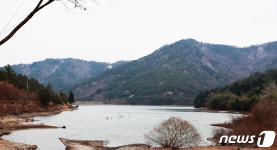 네이버 검색 결과 사진 6