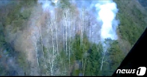 영월 김삿갓면 대야리 야산서 산불…산림당국 진화중