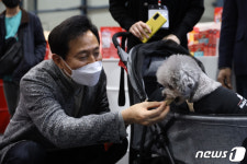 반려견 간식 주는 오세훈 서울시장 후보