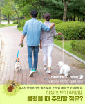 [펫카드]강아지 산책하기 딱 좋은 날씨지만…야생진드기 주의하세요