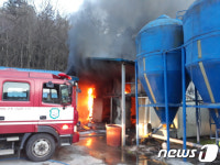 전남 나주 양계장서 불…닭 3만6천여마리 폐사