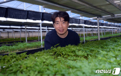[귀거래사] 새싹인삼 믿음에 단숨에 귀농…연 10억 매출