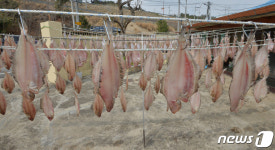 포항 특산물 미주구리를 아세요