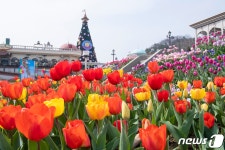 에버랜드45주년, 봄을 가득 채운 튤립정원