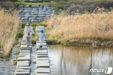 반려동물과 함께 완주 경천애인 징검다리길 걸어요
