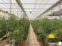 울주군, 스마트팜 지역농가 보급∙확산 본격 착수