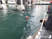 부산 영도대교서 60대 남성 바다로 추락…해경에 구조