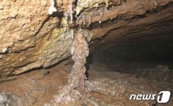 제주 비지정 천연동굴 무관심에 멸실위기 놓여…25곳 입구 사라져