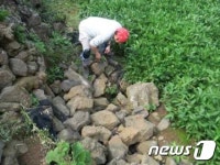 제주 비지정 천연동굴 무관심에 멸실위기 놓여…25곳 입구 사라져