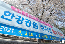 여의도 벚꽃구경 올해는 참아주세요